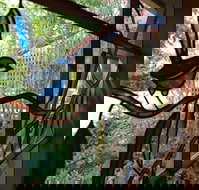 Bright Highland Valley Cottages - Accommodation Cooktown