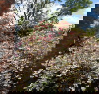 Merrimeet Cottages - Accommodation Cooktown