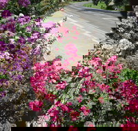 Gatekeepers Traditional Bed  Breakfast - Accommodation Cooktown