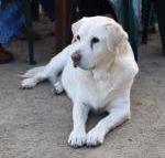 Nazaaray Beach House - Accommodation Cooktown