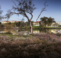 Swan River Hotel