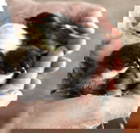 Margaret River Hideaway - Accommodation Cooktown