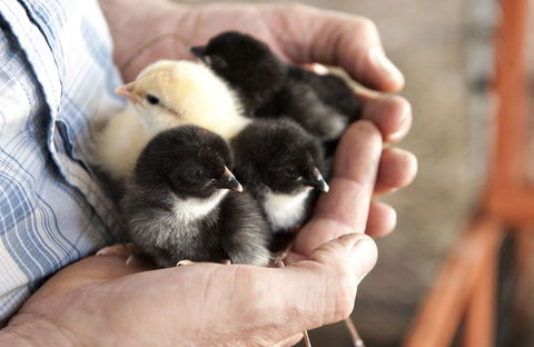 Margaret River Hideaway - Accommodation Cooktown 0