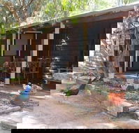 Kerriley Park Farm Stay - Accommodation Cooktown