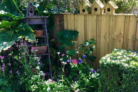 Aggies Bed & Breakfast - Accommodation Cooktown 7