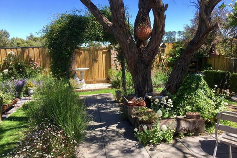 Aggies Bed & Breakfast - Accommodation Cooktown 5