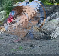 Halls Haven Holiday Units - Accommodation Cooktown