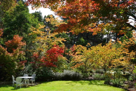 Wimbeldon - Accommodation Cooktown 4