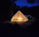 Glamping at Zeehan Bush Camp - Accommodation Cooktown