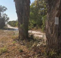 COONARR BEACH  BUNDABERG CAMPING - Accommodation Cooktown