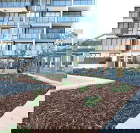 Arena on the Beach - Accommodation Cooktown