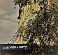 Caledonian Hotel - Accommodation Cooktown