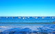 Waterfront Heaven At Callala Bay - thumb 4