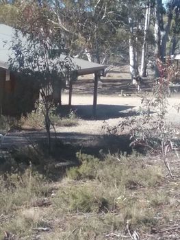 Gooandra Alpine Cabins - Accommodation Cooktown 1