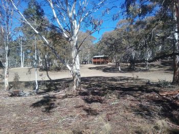 Gooandra Alpine Cabins - Accommodation Cooktown 6
