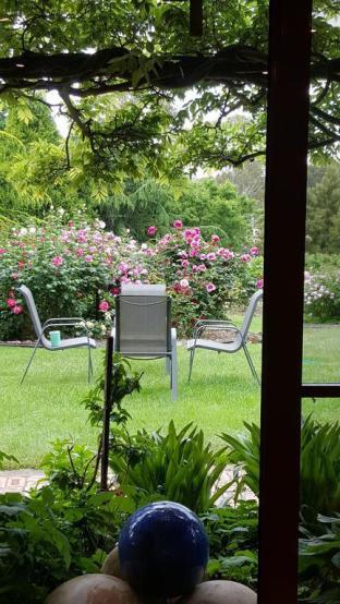 Wisteria Lodge - Accommodation Cooktown 5
