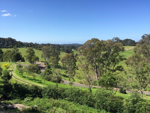The Bryn At Tilba Family Cottage - Accommodation Cooktown 0