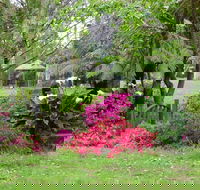 North East Rest Awhile Bed  Breakfast - Accommodation Cooktown