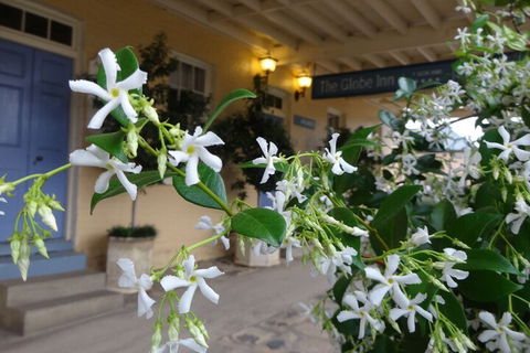 The Globe Inn - Accommodation Cooktown 2