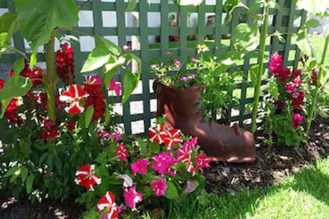 Albany Bayview Lodge YHA - Accommodation Cooktown 0