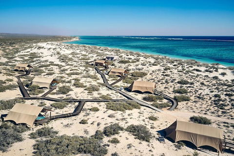 Sal Salis - Accommodation Cooktown 1