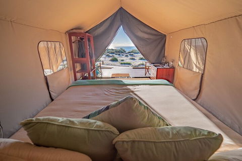 Sal Salis - Accommodation Cooktown 5