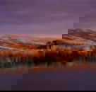 Wombat Hills Cottages - Accommodation Cooktown