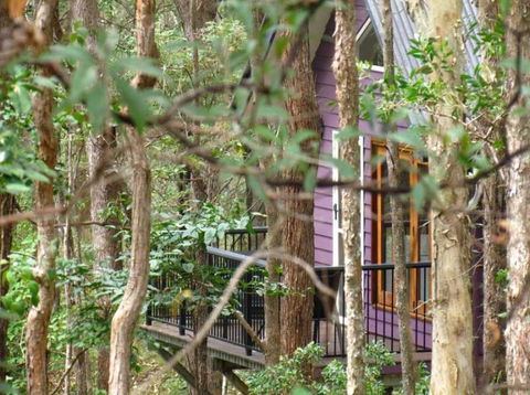 Amytis Gardens Retreat & Day Spa - Accommodation Cooktown 1