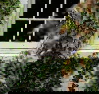 Fitzpatrick's Inn - Accommodation Cooktown