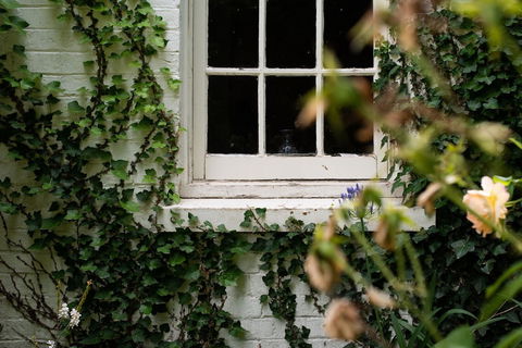 Fitzpatrick's Inn - Accommodation Cooktown 0