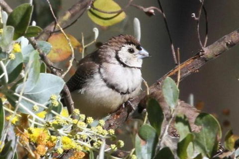 Tracks End Retreat - Accommodation Cooktown 6