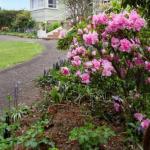  Accommodation Cooktown