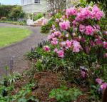 Anabels of Scottsdale - Accommodation Cooktown