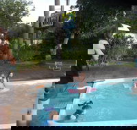 Corlette Palms Motor Inn - Accommodation Cooktown