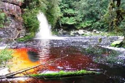 Aldermere Estate - Accommodation Cooktown 3