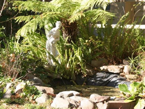 Tara House Bed & Breakfast - Accommodation Cooktown 3