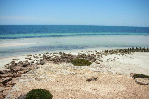 Amelia S Bed & Breakfast - Accommodation Cooktown 4