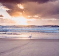 Blue Waters Motel - Accommodation Cooktown