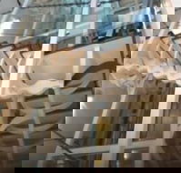 Platinum Suites Fremantle - Accommodation Cooktown