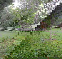 Amy's House - Accommodation Cooktown