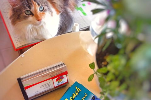 Mission Reef Resort - Accommodation Cooktown 6