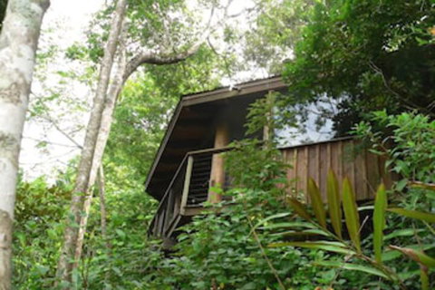 Mt Quincan Crater Retreat - Accommodation Cooktown 5