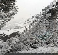 Alpenhorn - Accommodation Cooktown