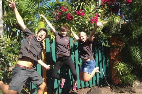 JJs Backpackers Hostel - Accommodation Cooktown 6
