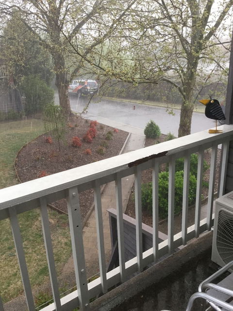 Alloggio Bathurst Apartments - Accommodation Cooktown 6