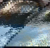 Town  Country Motel - Accommodation Cooktown