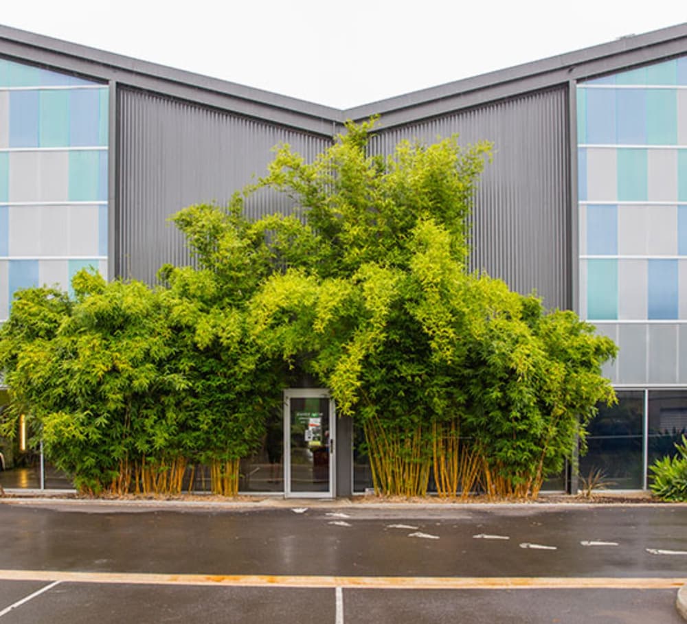  Accommodation Cooktown