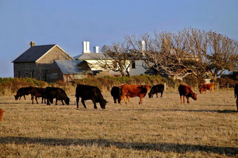 Cable Station Accommodation - Accommodation Cooktown 5