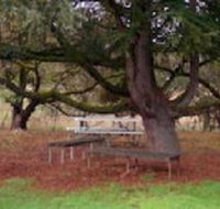 Auburn Shiraz Motel - Accommodation Cooktown