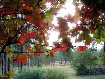 Elfin Hill Country Accommodation - Accommodation Cooktown 0